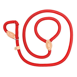 Dog Walking Leash Slip Rope Lead Leash