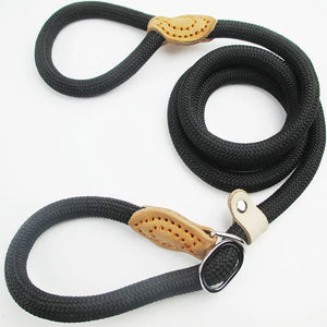 Dog Walking Leash Slip Rope Lead Leash