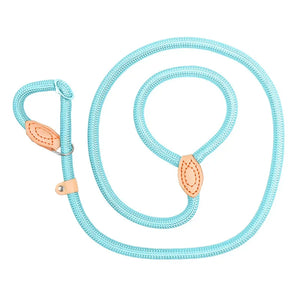 Dog Walking Leash Slip Rope Lead Leash